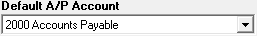 Default Accounts Payable Account